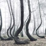 ¿Cuáles son las cascadas de fuego líquido que iluminan la noche como portales al inframundo? »